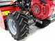Ginko-MGM TT 786 - Desbrozadora profesional de martillos - Honda GX270