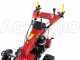 Ginko-MGM TT 786 - Desbrozadora profesional de martillos - Honda GX270