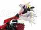 Ginko-MGM TT 786 - Desbrozadora profesional de martillos - Honda GX270