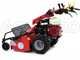 Ginko-MGM TT 886  - Desbrozadora profesional de martillos - Honda GX390