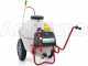 Carretilla fumigadora el&eacute;ctrica M2001112 - de bater&iacute;a 12V - 120L PRO