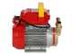 Rover 20 CE - Bomba el&eacute;ctrica de trasiego de bronce - Monof&aacute;sica - 230 V