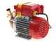 Rover 25 CE - Bomba el&eacute;ctrica de trasiego de bronce - Monof&aacute;sica - 230 V