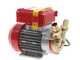 Rover 25 CE - Bomba el&eacute;ctrica de trasiego de bronce - Monof&aacute;sica - 230 V