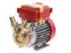 Rover 25 CE - Bomba el&eacute;ctrica de trasiego de bronce - Monof&aacute;sica - 230 V