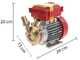 Rover 25 CE - Bomba el&eacute;ctrica de trasiego de bronce - Monof&aacute;sica - 230 V
