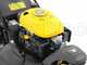 Mowox PM 4645 S Trike - Cortac&eacute;sped de gasolina autopropulsado - Rueda delantera giratoria