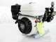 Carretilla fumigadora Comet APS 41 Honda GP 160 - Carro Dal Degan - Dep&oacute;sito 150 L