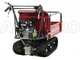 GeoTech Pro GeoPorter 330E BS - Carretilla de orugas con caja extensible y 4 rodillos - 300 kg
