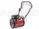 Blue Bird FLO Pro Speed 6BS - Desbrozadora de gasolina - Cuchilla e hilo - B&amp;S 850E