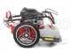 Blue Bird FLO Pro Speed 6BS - Desbrozadora de gasolina - Cuchilla e hilo - B&amp;S 850E