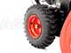 GeoTech-Pro STP971 WEBS - Quitanieves de gasolina -  B&amp;S 1450 Snow