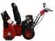 GeoTech-Pro STP971 WEBS - Quitanieves de gasolina -  B&amp;S 1450 Snow