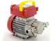 Rover Novax G 20 - Bomba el&eacute;ctrica de trasiego para aceite con engranajes de aleaci&oacute;n antioxidante - 0,8 HP