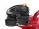 Eurosystems E3-EVO RM - Motoazada de gasolina 4.5 HP - Motor Loncin 139cc