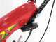 Eurosystems Z2 RM - Motoazada de gasolina 4 HP - Motor Loncin 123 T