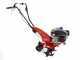 Eurosystems Z2 RM - Motoazada de gasolina 4 HP - Motor Loncin 123 T