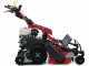 Ginko-MGM TT 786 HD - Desbrozadora profesional de martillos - de orugas - Honda GX270