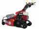 Ginko-MGM TT 786 HD - Desbrozadora profesional de martillos - de orugas - Honda GX270