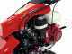 Ginko-MGM TT 786 HD - Desbrozadora profesional de martillos - de orugas - Honda GX270