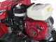 Ginko-MGM TT 786 HD - Desbrozadora profesional de martillos - de orugas - Honda GX270