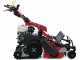 Ginko-MGM TT 786 HD - Desbrozadora profesional de martillos - de orugas - Honda GX270