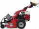 Ginko-MGM TT 786 - Desbrozadora profesional de martillos