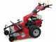Ginko-MGM TT 786 - Desbrozadora profesional de martillos