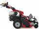 Ginko-MGM TT 786 - Desbrozadora profesional de martillos