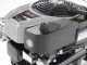 Eurosystems TM70RB - Motosegadora multifunci&oacute;n de doble cuchilla - B&amp;S 850E I/C