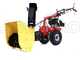 Eurosystems P70 EVO - Motocultor de gasolina - Brigs&amp;Stratton 850E - 6.5HP