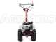 Eurosystems P70 EVO - Motocultor de gasolina - Brigs&amp;Stratton 850E - 6.5HP