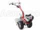 Eurosystems P70 EVO - Motocultor de gasolina - Brigs&amp;Stratton 850E - 6.5HP