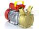 Rover BE-M 40 - Bomba eléctrica de trasiego de bronce - Monofásica - 230 V