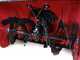 GeoTech-Pro STP1176 WEBS - Quitanieves de gasolina - B&amp;S 1450 Snow