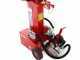 Ceccato BULL SPLT10 - Rajadora de le&ntilde;a para tractor - Vertical