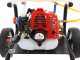 Pulverizador de mezcla ARCO Froggy Super S 25A con carro y motor 2 tiempos