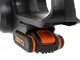 Worx WG322E.1 - Electrosierra de bater&iacute;a 20V 2 Ah - Espada de 25cm