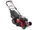 Cortac&eacute;sped autopropulsado Ama TRX 531H saco, mulching, salida lateral, trasera - Honda GCVx