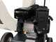 BlackStone GBK 600 - Biotrituradora de gasolina - Motor 7 HP
