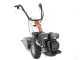 Benassi MC2300C - Motocultor de gasolina - Hwasdan H170 - 5.5HP
