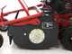 Blue Bird FM600 - Desbrozadora profesional de martillos - Loncin LC175F-2