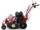 Blue Bird FM600 - Desbrozadora profesional de martillos - Loncin LC175F-2