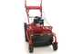 Blue Bird FM600 - Desbrozadora profesional de martillos - Loncin LC175F-2
