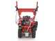 Blue Bird FM600 - Desbrozadora profesional de martillos - Loncin LC175F-2