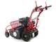 Blue Bird FM600 - Desbrozadora profesional de martillos - Loncin LC175F-2