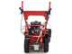 Blue Bird FM600 - Desbrozadora profesional de martillos - Loncin LC175F-2