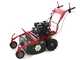 Blue Bird FM600 - Desbrozadora profesional de martillos - Loncin LC175F-2