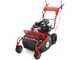 Blue Bird FM600 - Desbrozadora profesional de martillos - Loncin LC175F-2