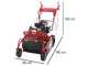 Blue Bird FM600 - Desbrozadora profesional de martillos - Loncin LC175F-2